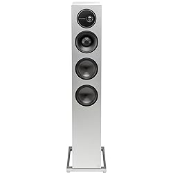 Definitive Technology D17 Demand Series Modern