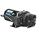 Wayne SWS75 Well Jet Pump, 0.75 HP, Black