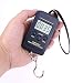 AlepTau Fishing Scale Luggage Scale, Fish Scale Portable Scale 88lb/40kg Pocket Size Multi-functionals Pro Scale with Tare Back-lit LCD Display for Fishing, Digital Kitchen Scales, Fish Weighing Scale