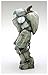Wave Maschinen Krieger A. F. S. C.D.Type polar bear 1 / 20 scale plastic model MK052