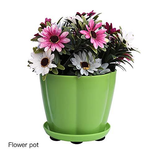 JaneYi (60 Stück Garten Unsichtbare Topffüße Hochwertige Rutschfestes Selbstklebendes Blumentopf Matte Gummifüße… – Bild 7