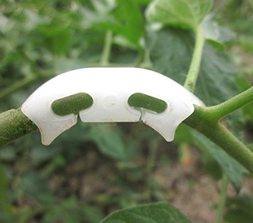 Prudance 50pcs Tomato Truss Support Clip - Reusable - Prevent snapping or kinking - Thumbnail 2
