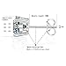 925 sterling silver stud earrings Stud Earrings for Women Round Cubic Zirconia Studs Plated Rose Gold, 3-8mm (6 Pairs)