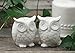 Creative Co-Op Ceramic Owl Salt and Pepper Shaker, Set of 2