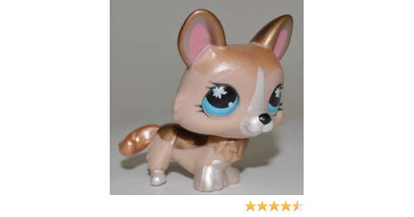 lps corgi amazon