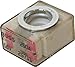 Blue Sea Systems 5189 Battery Terminal Fuse 250-AMP, Beige