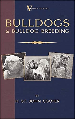 Bulldogs and Bulldog Breeding (A Vintage Dog Books Breed Classic) �y�[�p�[�o�b�N - 2005/1/30