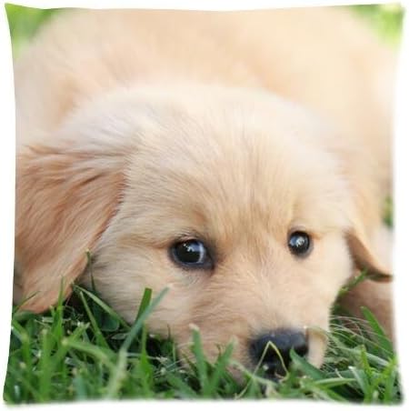 Adorable Pillow Cases Cushion Cover Animal Cute Golden Retriever Dog Pillowslip 18x18 inches Twin-sides Print