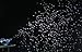 ADJ Products, BubbleTron, Professional Lightweight Bubble Machine BUB773