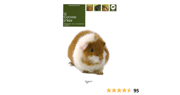 Cmlhodjwm Zbwm Cmlhodjwm Zbwm