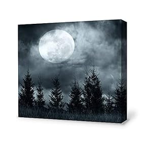 Canvas Wall Art for Living Room,Bedroom Home Artwork Paintings Charming Moon Ready to Hang - 12x12 inches