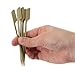 PREXWARE 4.7 Inch Bamboo Picks Paddle Skewers BBQ Picks 100 Pack