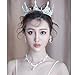 Lpteso SSNUOY Silver Plated Pearl Crystal Bridal Crown Princess Crown Headpiece for Woman