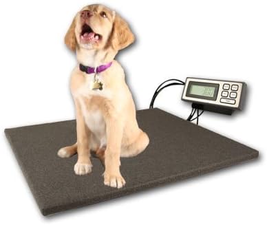 ZIEIS | 80 Lb. Capacity | Veterinary Series - Digital Pet Scale | CP80-1916 | 19" X 16" BigTop Cozy Pawz Platform | 0.1 Lb. Accuracy