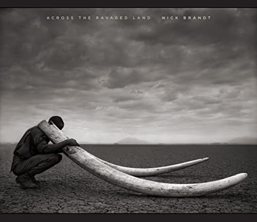 Nick Brandt A Shadow Falls ニック・ブラント　難あり Amazon.com: A Shadow Falls: 9780810954151: Nick Brandt: Books