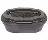Raisman Air Filter & Pre-Filter Combo Replaces Kawasaki 11013-7010 11013-7024 11013-7027 11029-7002 11029-7012 & More