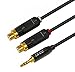 iXCC Premium Gold-Plated 3.5mm Male to 2 RCA Female Stereo Audio Y Adapter Extension Cable (1ft)