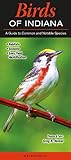 Birds of Indiana: A Guide to Common and Notable Species