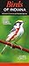 Birds of Indiana: A Guide to Common and Notable Species primary