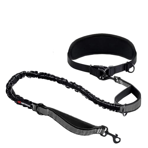 Tuff Pupper Bungee Dog Leash