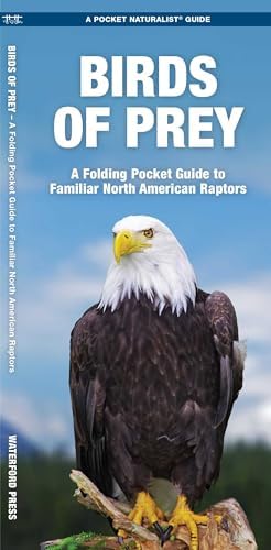 Birds of Prey of the World: Philip Burton: 9781850280859: Amazon