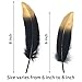 Benvo 40 Pcs Gold Dipped Black Feathers 6-8 Inch Natural Feathers for Any Craft Projects Feather Garlands Boho Bohemian Hats Décor Halloween Holiday Decorations and Dream Catcher Supplies