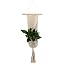 Makramee-Pflanzenhänger Mit Metallring, 94 Cm – Für Töpfe 7,6–20 Cm, Nylonseil, Gelb