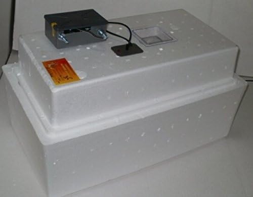 Analog auto incubator Laying hen 36 eggs 220V