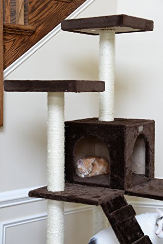 GleePet GP78700623 Cat Tree with Ramp, 70-Inch, Coffee Brown