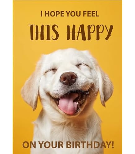 Geburtstagskarte Für Hundefreunde | „A Little Toast On Your Birthday“ | Mit Umschlag | Lustig & Kreativ