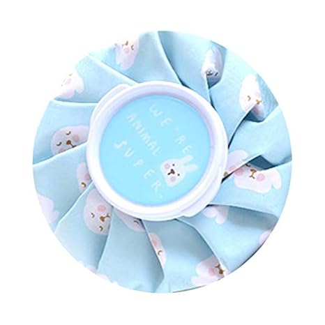 FinukGo Ice Cool Bolsa Nevera de Hielo Gruesas Pequeño Tamaño ...