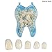 Dental Ultra-Thin Whitening Veneers Resin Teeth Upper Anterior Shade 100 PIECE