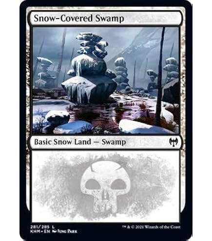 Amazon.com: Magic: The Gathering - Snow-Covered Forest (284)