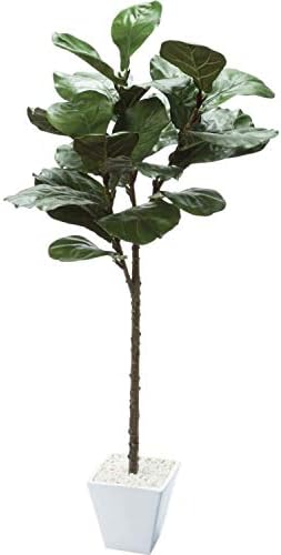 Amazon カシワバポット 1cm Gla 1501 人工観葉植物 鉢付き 横浜ディスプレイミュージアム 人工観葉植物 オンライン通販 Amazon カシワバポット 1cm Gla 1501 人工観葉植物 鉢付き 横浜ディスプレイミュージアム 人工観葉植物 オンライン通販