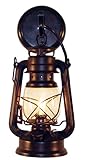 Rustic lantern wall mounted light - Small Rustic by Muskoka Lifestyle Products