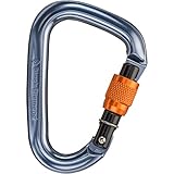 Black Diamond Positron Screwgate Carabiner