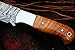 DKC Knives (20 5/18) DKC-511 Trail Blazer Fixed Blade Damascus Steel Hunting Knife Olive Wood Burl Handle 9
