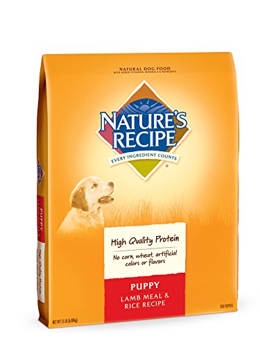 Nature's Recipe Puppy Dry Dog Food, Lamb Meal & Rice Recipe, 15-Pound