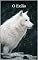 Livro O Exílio: Volume 2: A Herdeira da Lua (Entre Lobos)