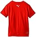 PUMA Little Boys' No.1 Logo Tee, Fire Orange, 6