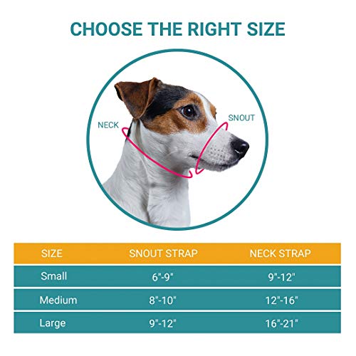 dog snout strap