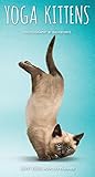 Yoga Kittens 2019 3.5 x 6.5 Inch Two Year Monthly Pocket Planner, Animals Humor Kitten by 
