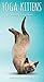 Yoga Kittens 2019 3.5 x 6.5 Inch Two Year Monthly Pocket Planner, Animals Humor Kitten by 