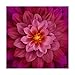 Hoffman Fabrics Hoffman Digital Dream Big 43'' Floral Panel Fuchsia Fabric