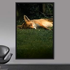 signwin Framed Canvas Wall Art Red Fox Animals...