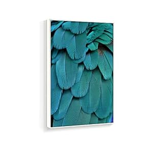 Framed Canvas Wall Art for Living Room, Bedroom Beautiful Features Canvas Prints for Home Decoration Ready to Hanging - 16x24 inches