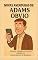 Livro Novas Aventuras de Adams Obvio: no mundo corporativo do século 21