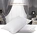 King Size Bed Pillows for Sleeping - 20x36, 2-Pack - Mid Loft - Soft Fiber Fill - Hypoallergenic - Stripe Cotton Covers - Top Alternative to Feather and Down Bedding – Fit California King and Twin Bed