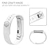 AK C-113 Fitbit Alta Bands, Replacement with Metal Clasp, Small, White