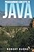 Programming Concepts In Java